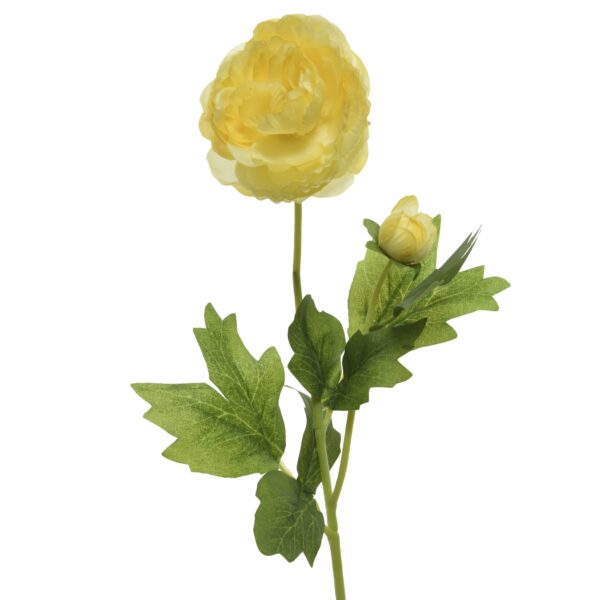 b27039e9238b4335788a1a01cd27e69f