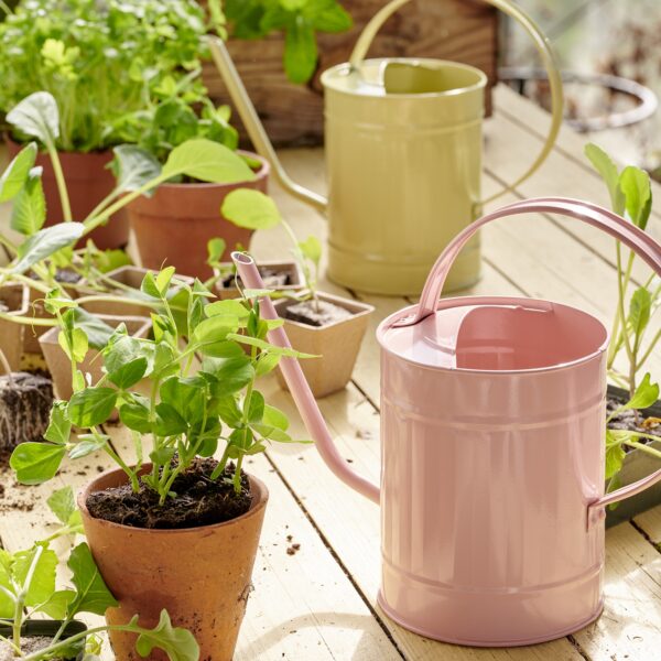 a6663b2ce460955f078d9f923eaea739