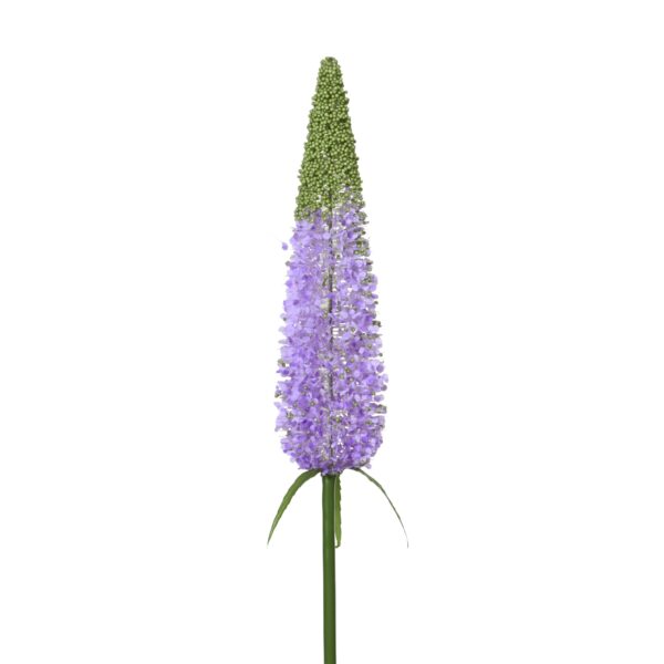 004c770ae86c25497ac2604a21a60a37