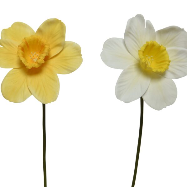 559375c9a1254bb8093b5827adbb6c17