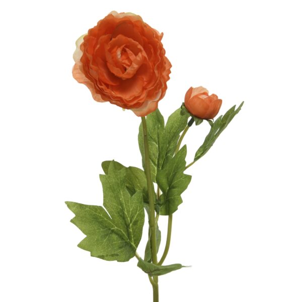 7f5c6584923a6ed171c4ed85ecb81415