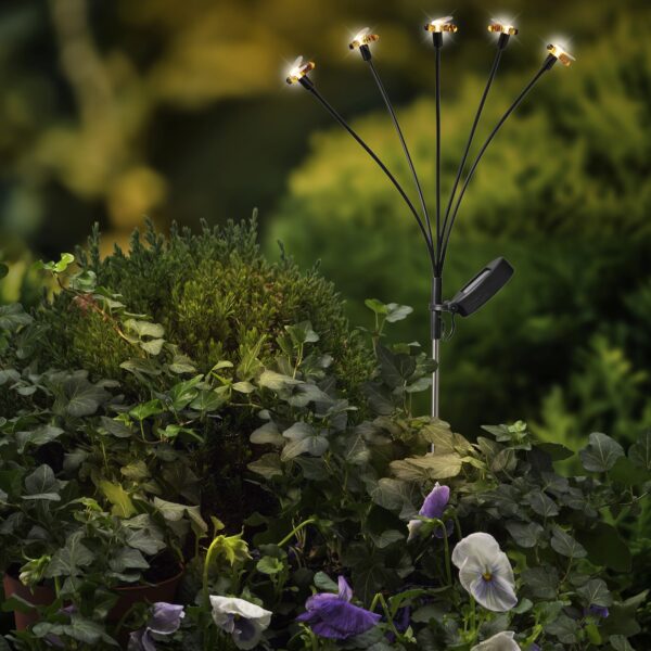 81023cf3c46065bf5da4a811ea806372